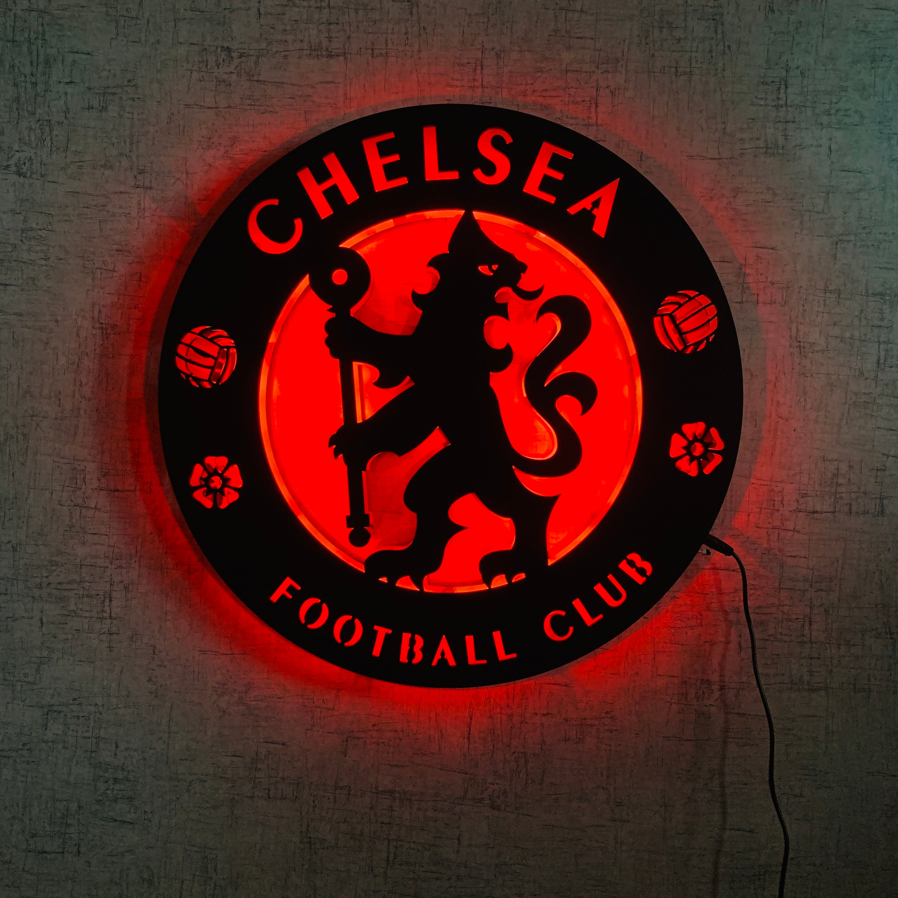 Backlit LED Logo