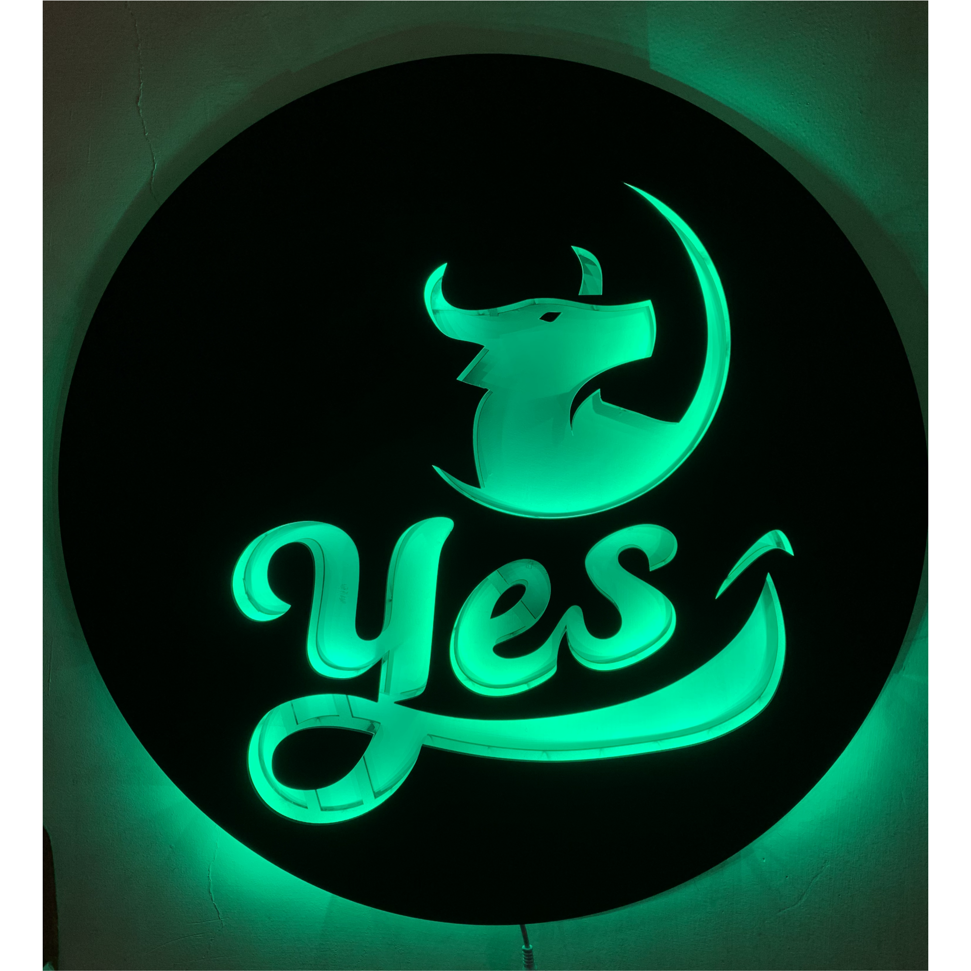 Customized Backlit LED Logo for Office, Shop, Home, Fitness Places, etc | Vibex